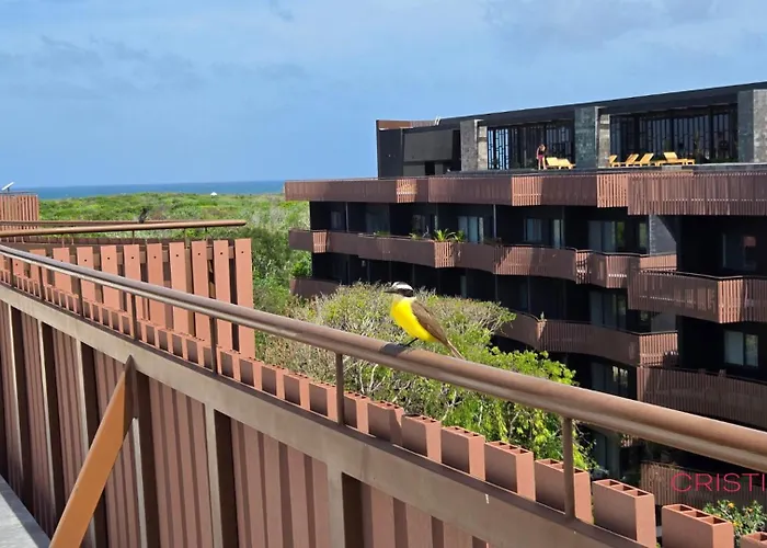 "designer Cave Loft" In Zone - Club Included Tulum